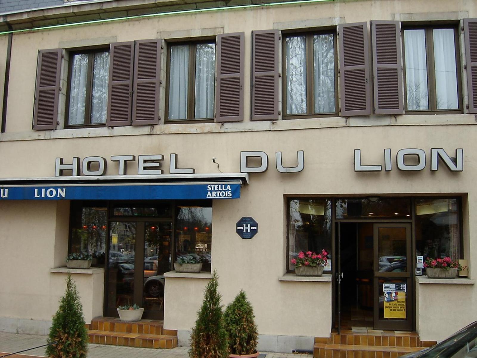 Hotel Du Lion Vesoul Bagian luar foto
